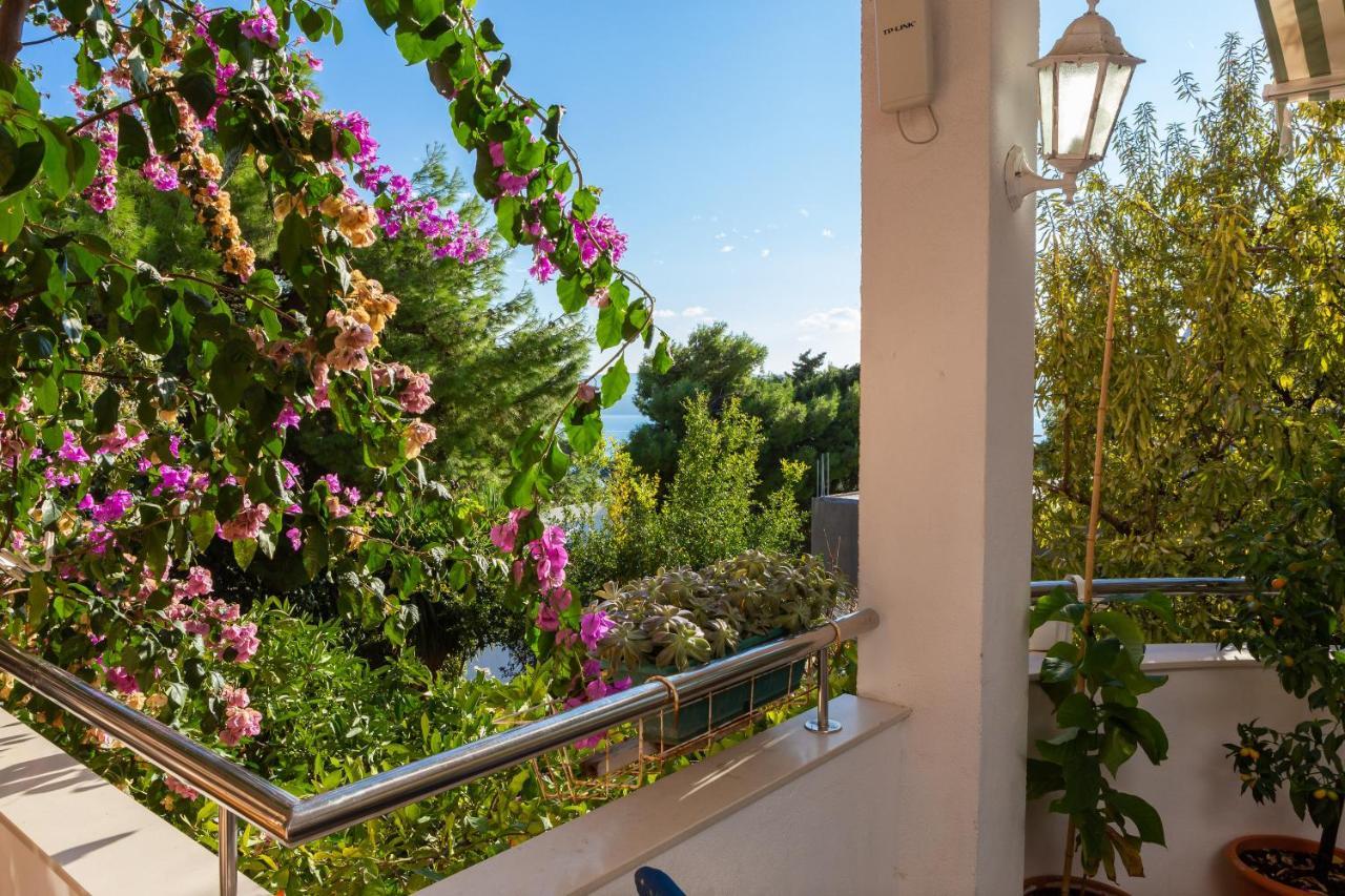 Villa Marko Stanici Exteriör bild